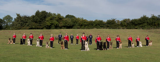 German Shepherd Dog Display Team Photo